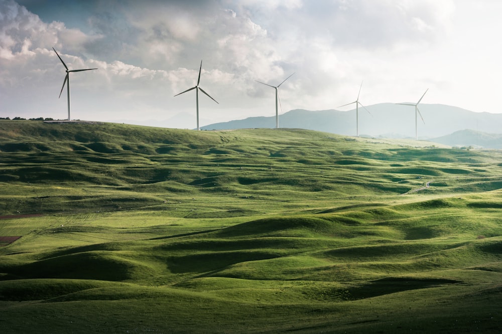 Vindmøllepark der leverer regulering til energinettet